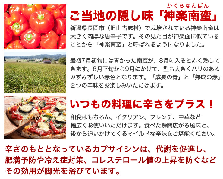 ご当地の隠し味 神楽南蛮