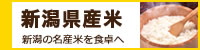 新潟県産米