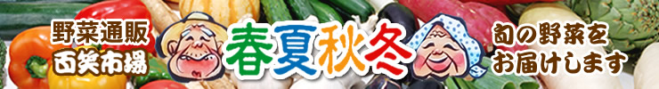 季節の野菜詰め合わせ