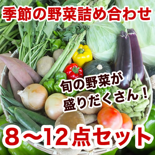 野菜詰め合わせセット
